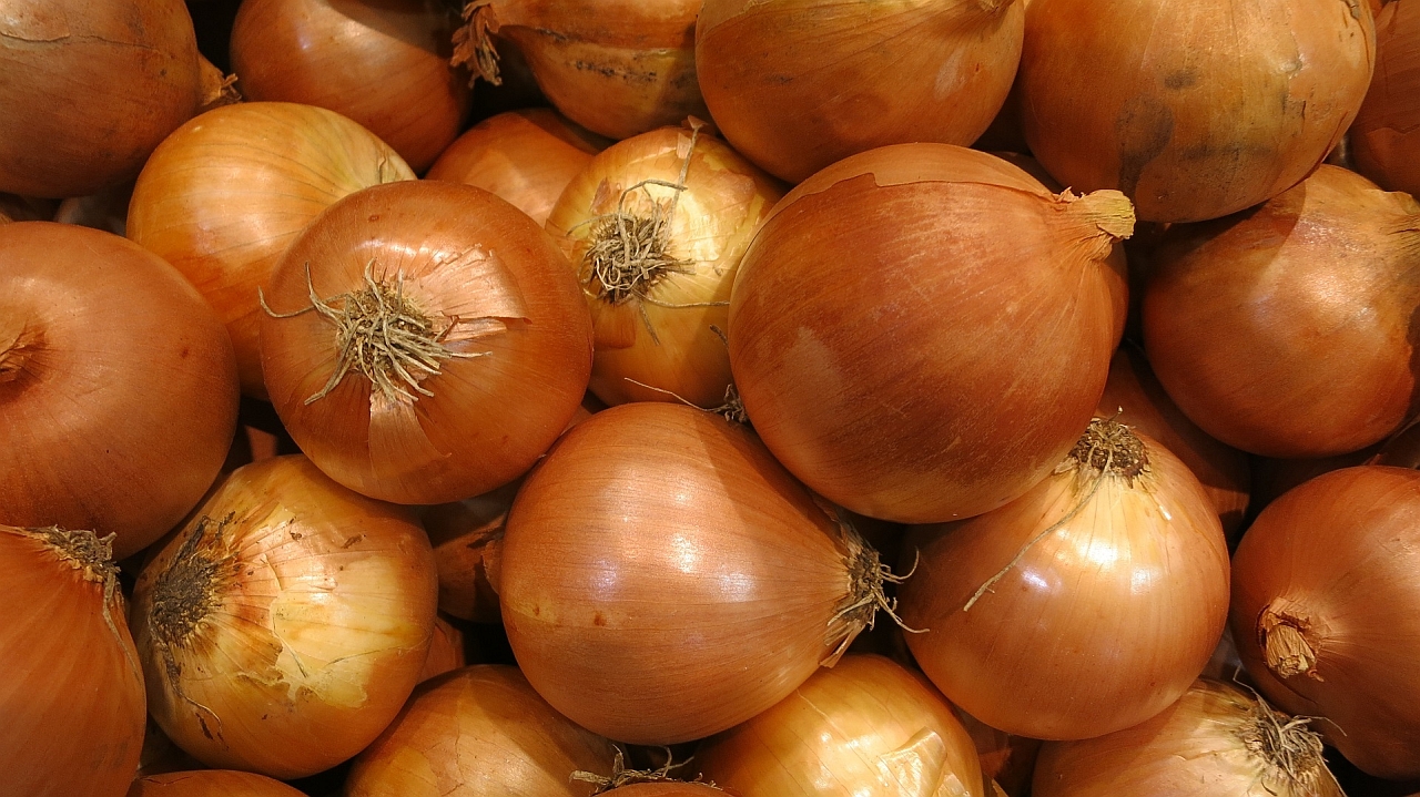 Onion