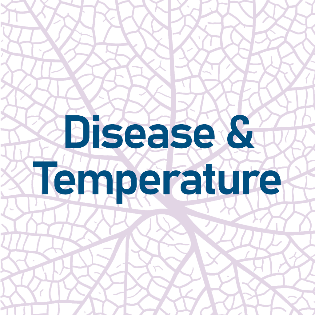Disease and Temperature